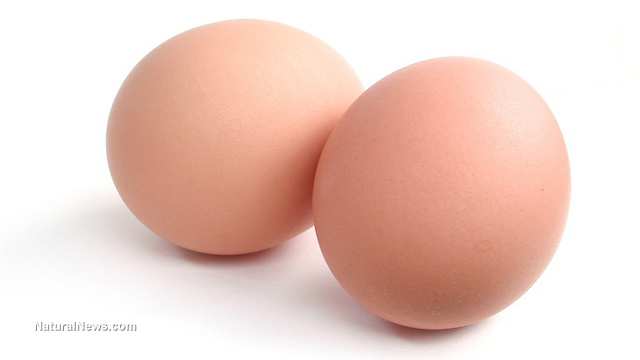 Brown-Eggs-On-White